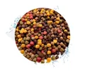 Warnick's Koifutter 10-Sorten-Mix mit Spirulina - 5 L, 3 mm - Fischfutter für Koi & Zierfrische - schwimmend & sinkend, gut verdaulich