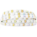 BTF-LIGHTING WS2812B 5M 30 LEDs/Pixels/m 150LEDs RGB adressierbare Streifen mit 5050 SMD LEDs Wasserdicht IP65