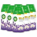 Air Wick Freshmatic Max Nachfüller Lavendel 6 x 250 ml