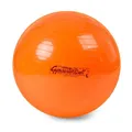 Pezzi®-Ball Original Gymnastikball mit Übungsanleitung
