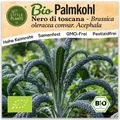 Palmkohl Samen (BIO) - 75 Samen Gemüsesamen Palmkohlsamen Nero di Toscana