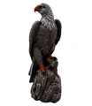 gartendekoparadies.de Mächtiger Adler Steinfigur aus Steinguss, Mehrfarbig, H. 50 cm, 14 kg, Frostsicher für Außenbereich