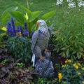Adler Steinadler Vogel  Steinfigur H.50 cm 17 x 15 cm 14 kg Beton frostsicher