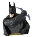Monogramm Arkham Asylum: Batman Brustumfang Bank