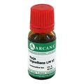 NAJA TRIPUDIANS LM 6 Dilution 10 ml