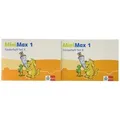 MiniMax 1