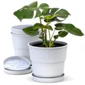 Plastard Blumentöpfe 3er Set 32 cm Durchmesser mit Untersetzer aus Kunststoff Weiß runder Pflanzkübel witterungsbeständiger Übertopf große Blumentöpfe