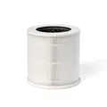 Filter für den Luftreiniger Bosch Air 1000