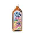KNOBIVITAL mit Ingwer+Holunder Bio 960 ml Flaschen