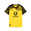 Puma Bvb Home Jersey Replica Jr With Sponsor - faster yellow-puma black /Gr: 152