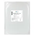Sala Essigsäure Essigessenz 25% E260 Lebensmittelqualität (10 L Kanister)
