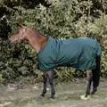 Kentucky Horsewear All Weather Turnout 160g - Dunkelgrün, 125