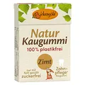 Birkengold - Kaugummi mit natürlicher Kaumasse Zimt 20 Stk. - 28 g