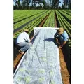 Gartenvlies Schutzvlies Pflanzvlies zur Abdeckung von Gemüsebeeten weiß ca. 17 g/m2 1,6 x 5m - Weiß