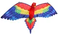 Günther 3D Einleinerdrachen Cora