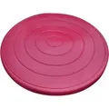 Sport-Thieme Balance-Disc "Air" 613892305