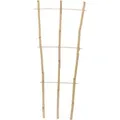 Floraworld Pflanzengitter Classic 75 cm