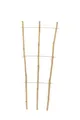 Pflanzgitter Bambus floraworld 32x75cm