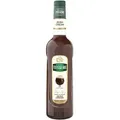 Mathieu Teisseire Bar Sirup Irish Cream 0,7L
