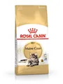 Royal Canin FBN Maine Coon Adult dry cat food - 10kg