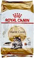 Royal Canin Maine Coon Katzenfutter, 10 kg