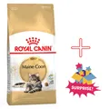 Royal Canin Maine Coon Adult Trockenfutter 10kg für große Katzenrassen