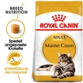 ROYAL CANIN Maine Coon Adult Trockenfutter Katzenfutter 10 kg