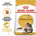 10 kg ROYAL CANIN Maine Coon Adult Katzenfutter trocken