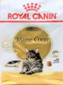 Royal Canin Maine Coon - 10 kg (€ 8,97/kg) Trockenfutter für Maine Coon Katzen