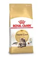 ROYAL CANIN Maine Coon Adult 10kg Trockenfutter für erwachsene