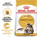 Royal Canin Maine Coon Adult - 10 kg