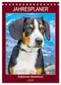 Jahresplaner Entlebucher Sennenhund (Tischkalender 2026 DIN A5 hoch), CALVENDO Monatskalender