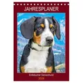Jahresplaner Entlebucher Sennenhund (Tischkalender 2026 DIN A5 hoch) CALVENDO Monatskalender von Sigrid Starick/ Calvendo / Calvendo / Kalender