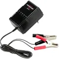 Ansmann - Kfz-ladegerät Für 2v/6v/12/24v Autobatterie – Vollautomatisch