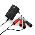 ANSMANN Kfz-Ladegerät ALCS 2-24 A für Autobatterie Roller Motorrad 12V 9164016