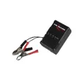 Ansmann Automatik-Ladegerät ALCS 2-24 A Universal-Ladegeräte 9164016