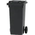 2-Rad-Mülltonne 120 L Grau Kunststoff 2 Rädern