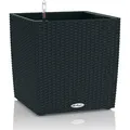 Cube Cottage 50 Komplettset Graphitschwarz - Lechuza