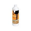Loba Lobacare ParkettCare Parkettglanz Dispersionspflegemittel 1 Liter