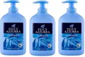 PAGLIERI Felce Azzurra classico Flüssigseife Spender 3x 300 ml