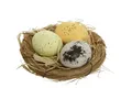 Osternest Rohrkolbennest Nest mit Foam Eier 4er Set