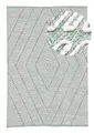 carpetfine Baumwollteppich Kelim Durry robuster Flachgewebe-Teppich Grün 60x90 cm für Wohnzimmer, Schlafzimmer & Kinderzimmer