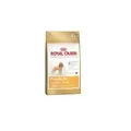 Royal Canin Poodle 30  0.5kg