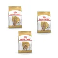 Royal Canin Poodle Adult | 3er Pack | 3 x 500 g | Trockenfutter für ausgewachsene Pudel | Zur Unterstützung des Fells und des Muskeltonus | Für Hunde ab dem 10. Lebensmonat