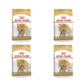 Royal Canin Poodle Adult | 4er Pack | 4 x 500 g | Trockenfutter für ausgewachsene Pudel | Zur Unterstützung des Fells und des Muskeltonus | Für Hunde ab dem 10. Lebensmonat