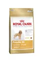 500g Royal Canin Breed Pudel Hundefutter Pudelfutter ab 10 Mon.
