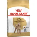 ROYAL CANIN Poodle 30 Adult 500 g