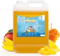 Belissia Slush Eis Sirup 5L Konzentrat | Mango Geschmack | sehr ergiebig in knalligen Farben (1:5) | Glycerin frei
