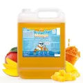 Belissia Slush Eis Sirup 5 Liter Konzentrat | Mango Geschmack