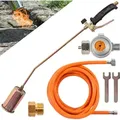 Fepro® Gasbrenner Abflammgerät 58kW mit 4,5m Schlauch & Druckminderer – Unkrautvernichter, Anzünder, Bitumenbahnen Schweißen
